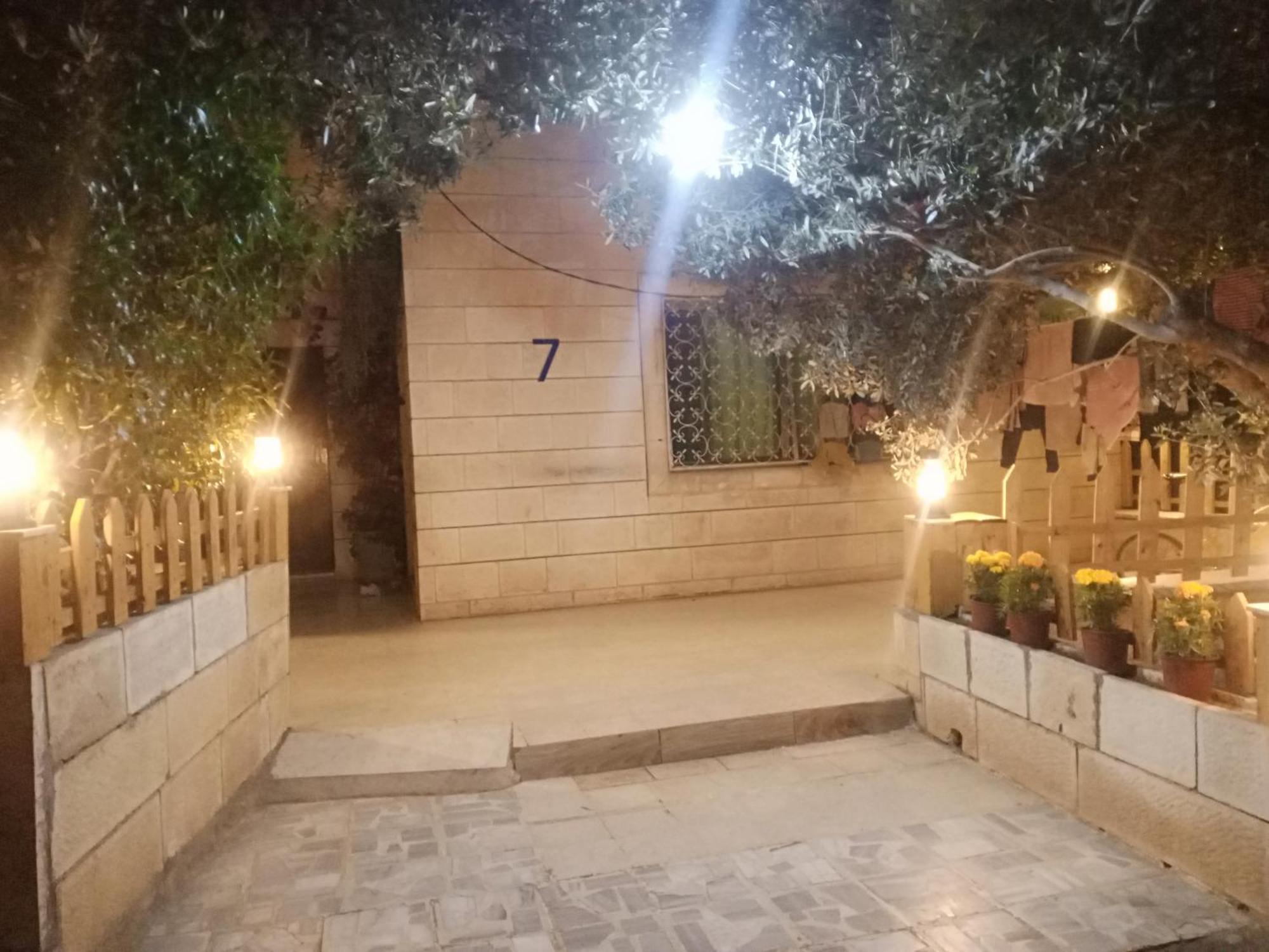 Flower 2 Jarash Rom bilde